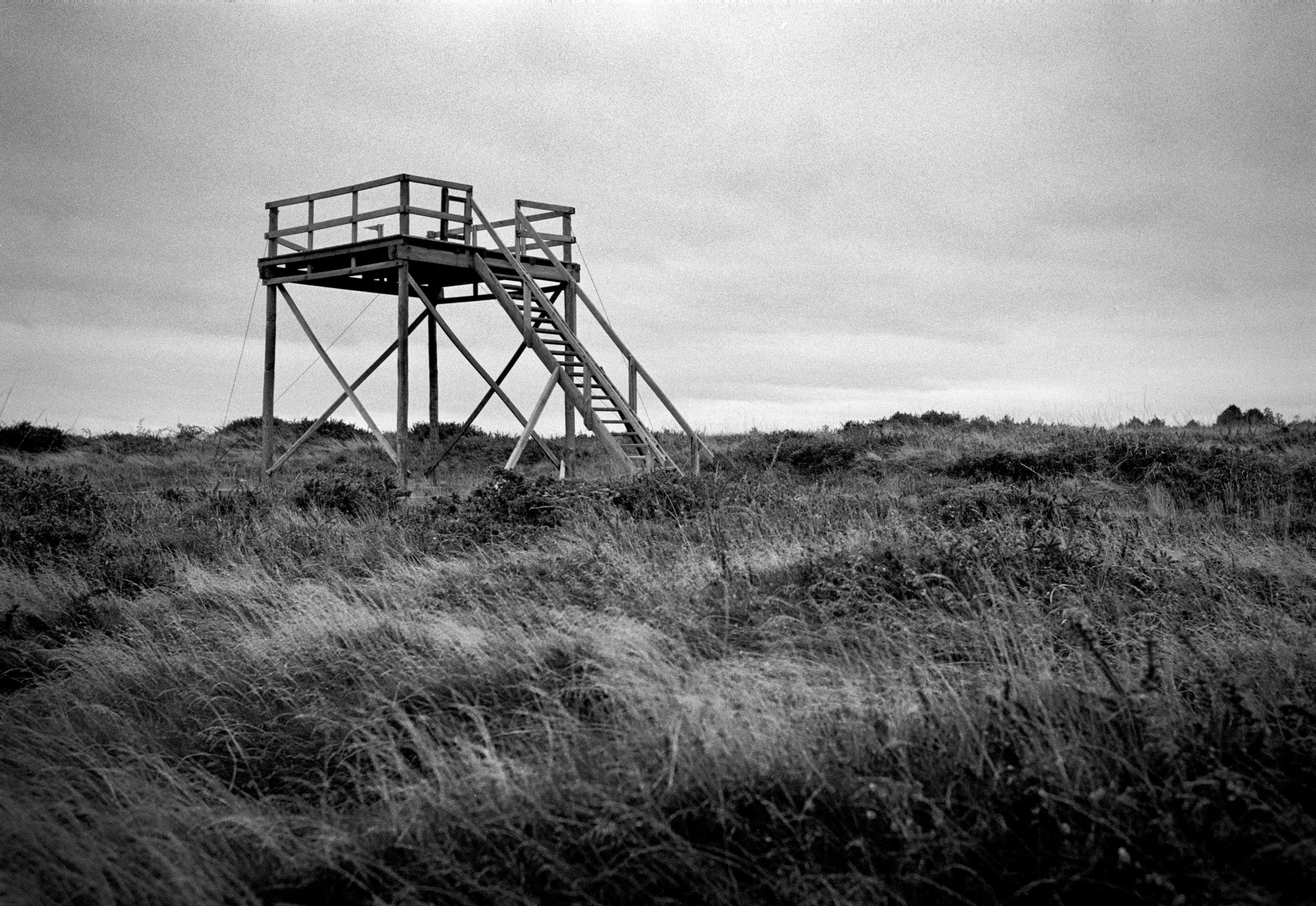 A black and white photograph of a wooden viewing platform on tall stilts standing in an open grassy landscape under an overcast sky.