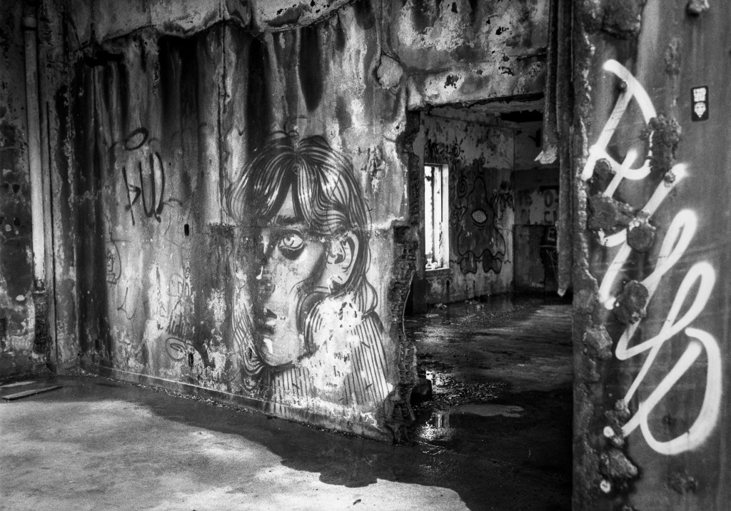 Appropriation or Contribution?