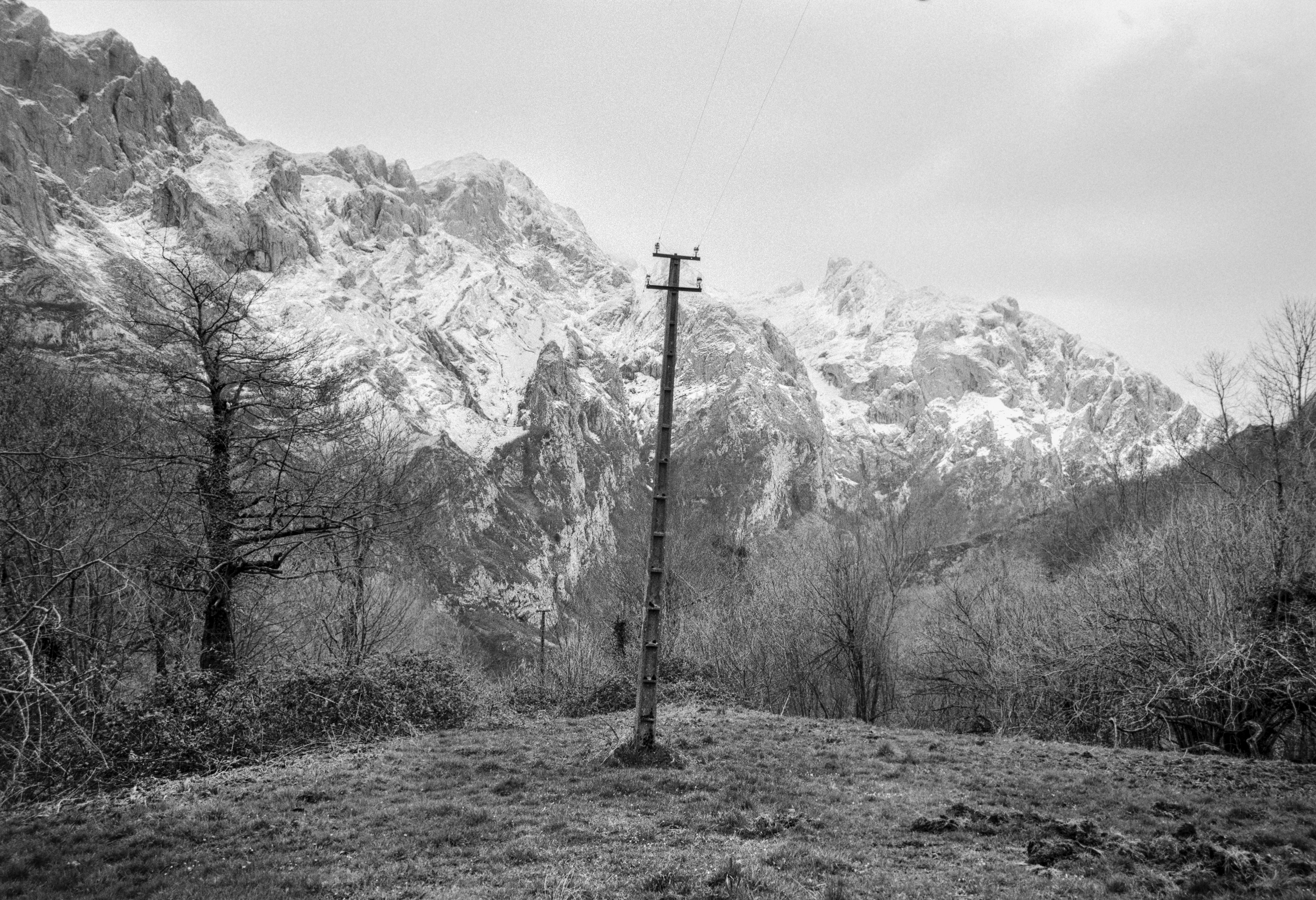 A black and white photograph of a single utility pole standing in a grassy clearing, with snowy rugged mountains rising dramatically in the background and leafless trees around it.