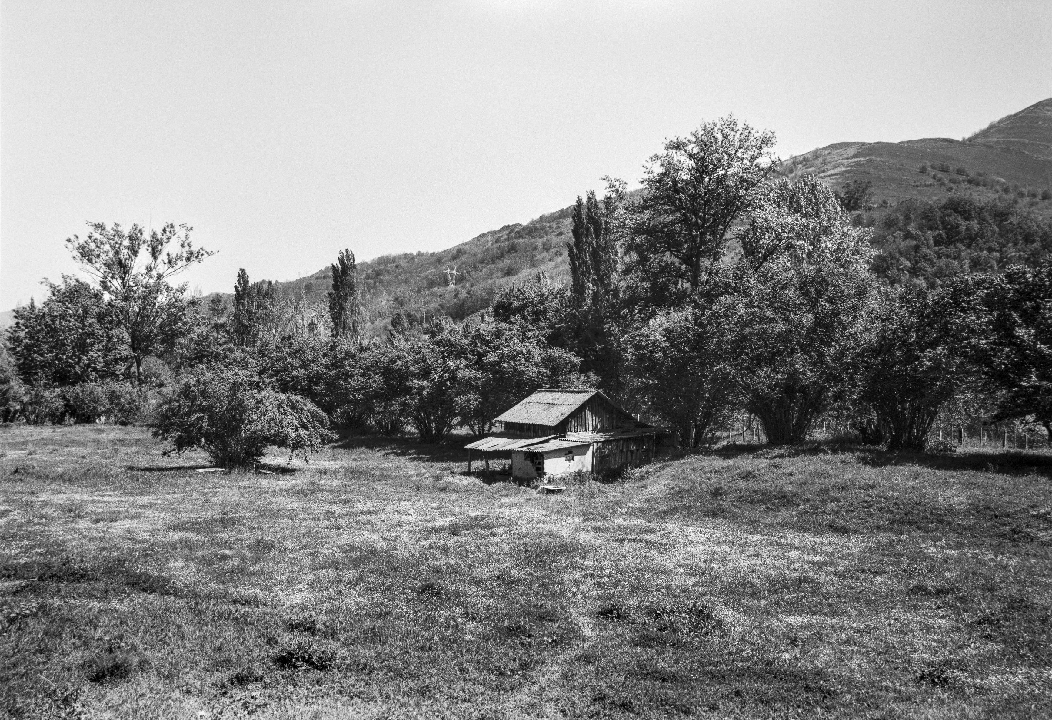 A small rural cabin surrounded by trees and fields near Pola de Lena in Asturias.