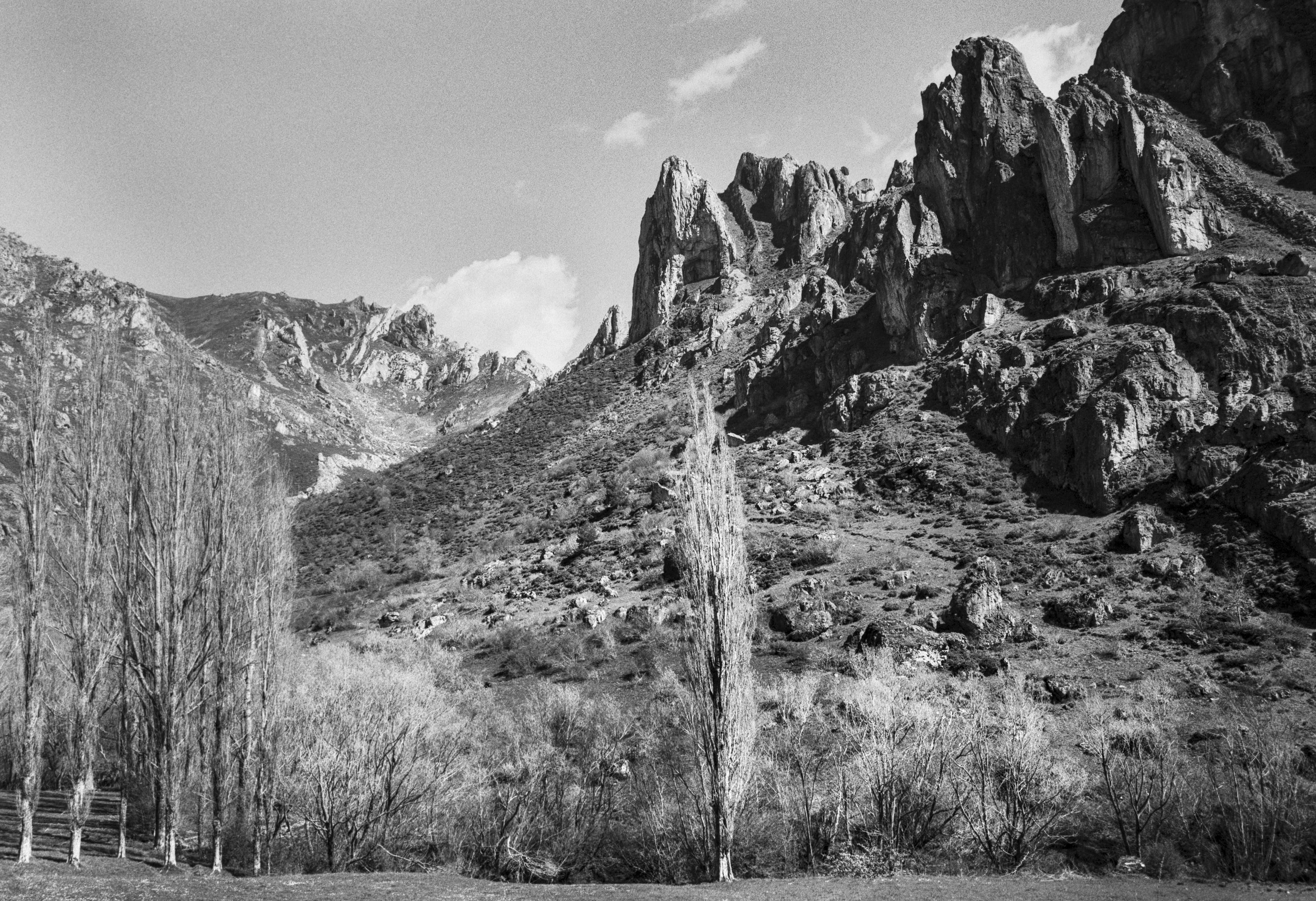 Mountain landscape with rocky peaks and tall trees in León.
