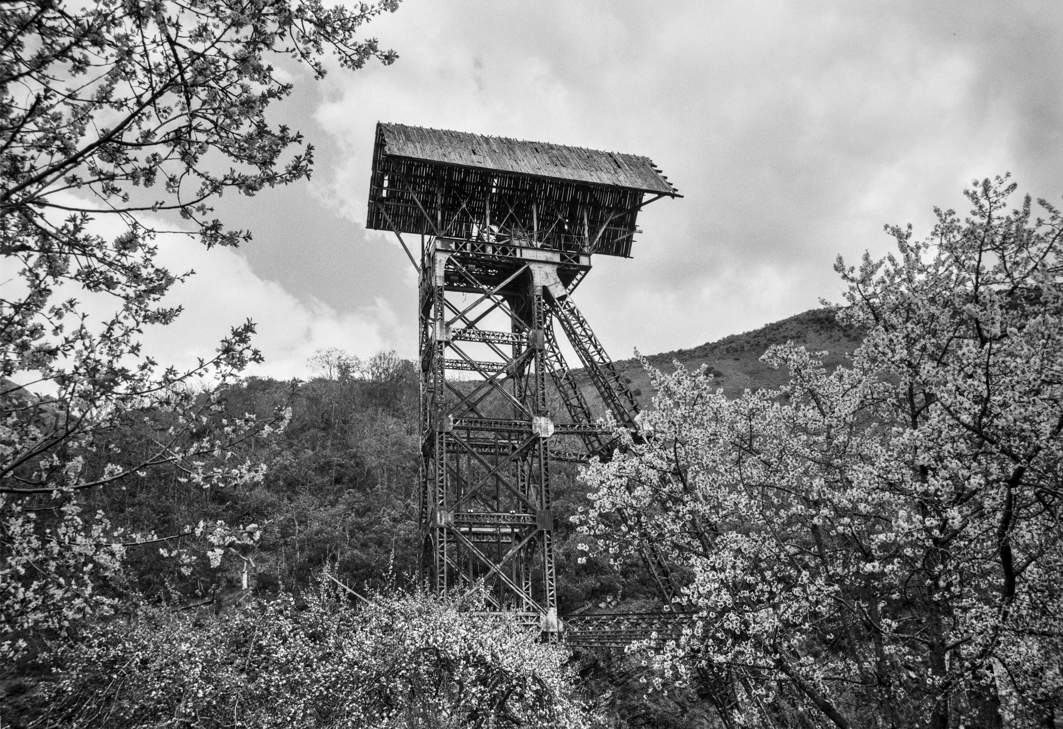 Old industrial tower framed by blooming trees in the mountains of León.