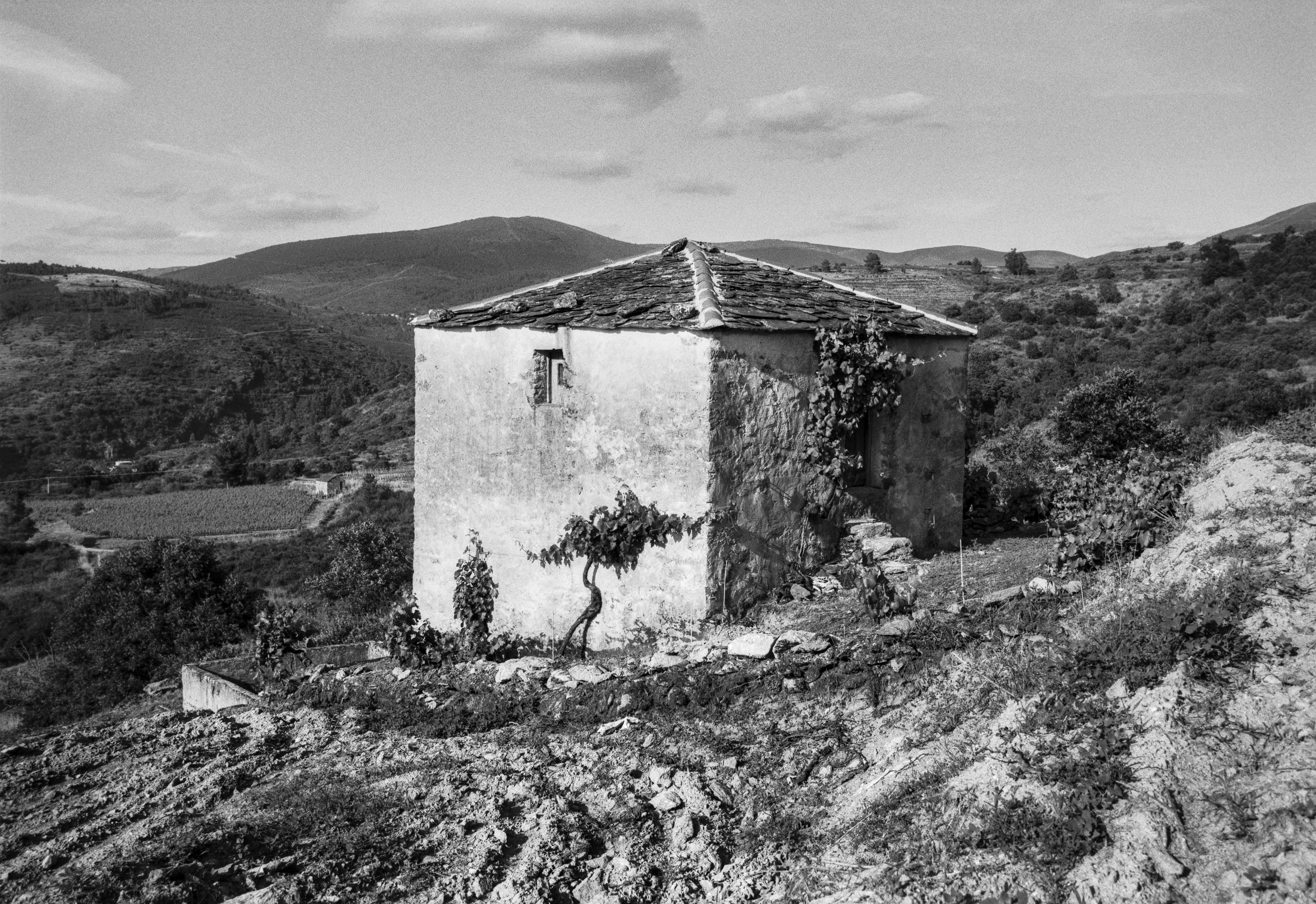 A small vineyard house on a hillside in Valdeorras, surrounded by terraces and distant mountains.