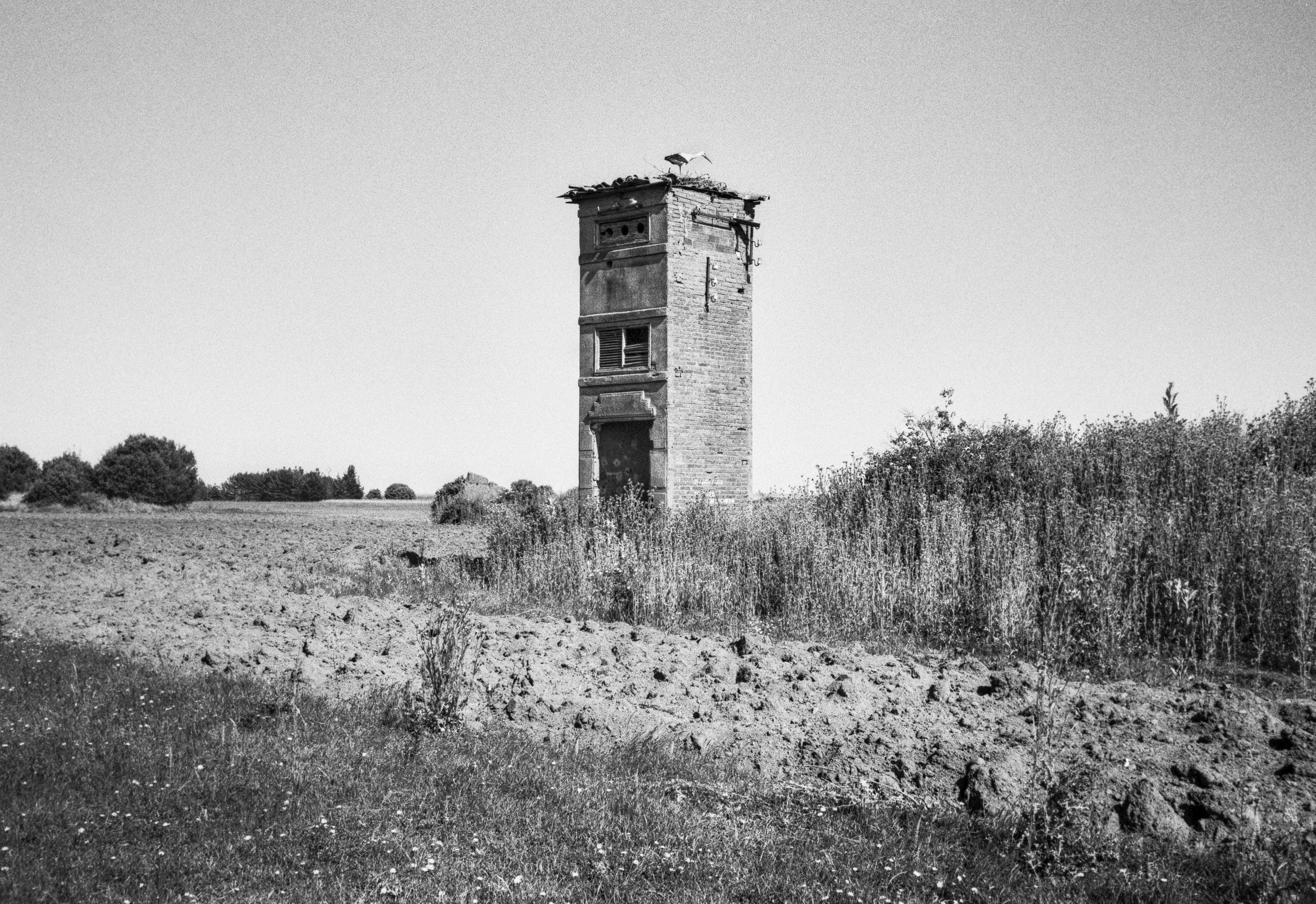 Abandoned electrical tower in an open field with a stork standing on its roof.