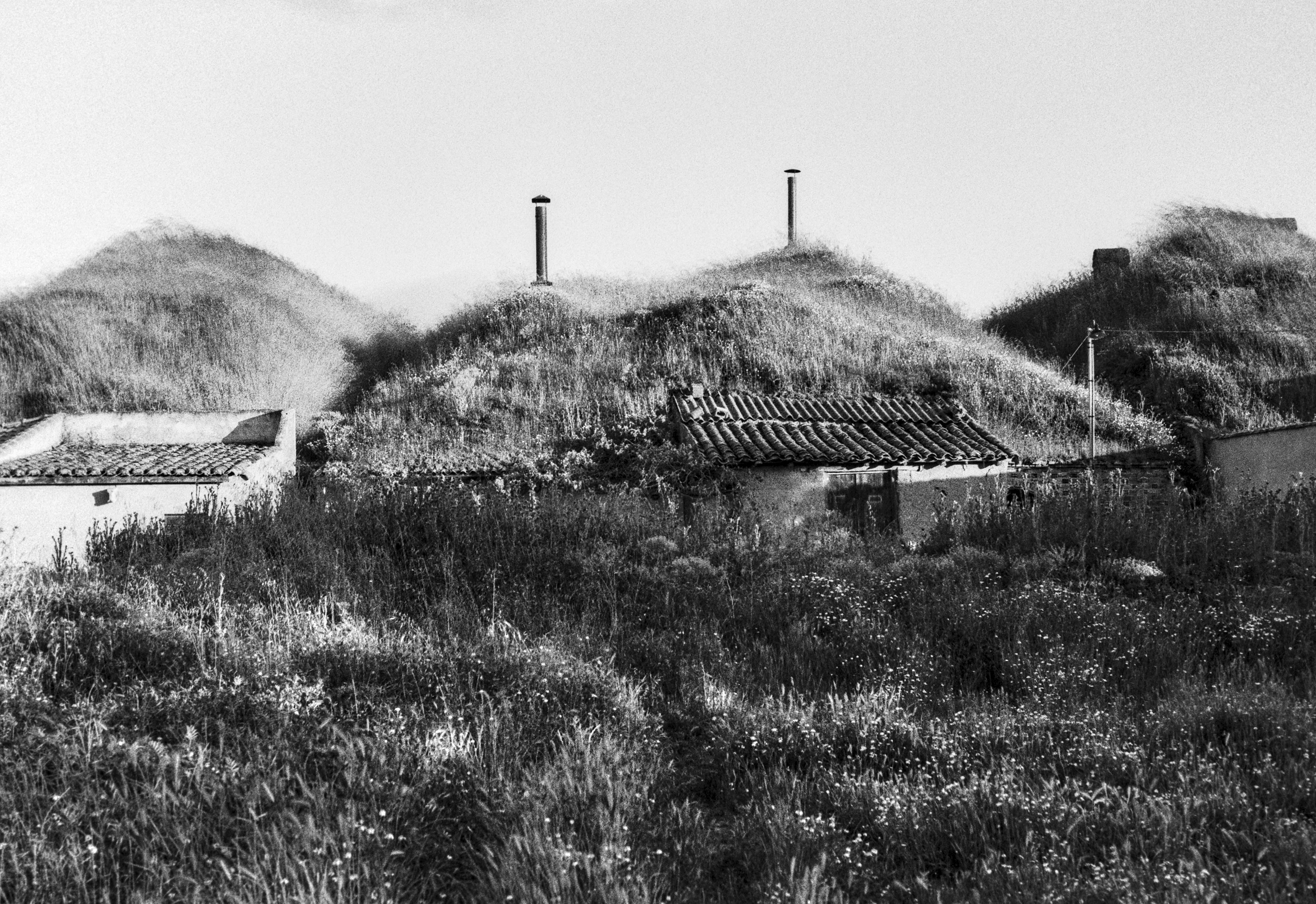 Traditional underground wine cellars covered by grass mounds in Valdevimbre.