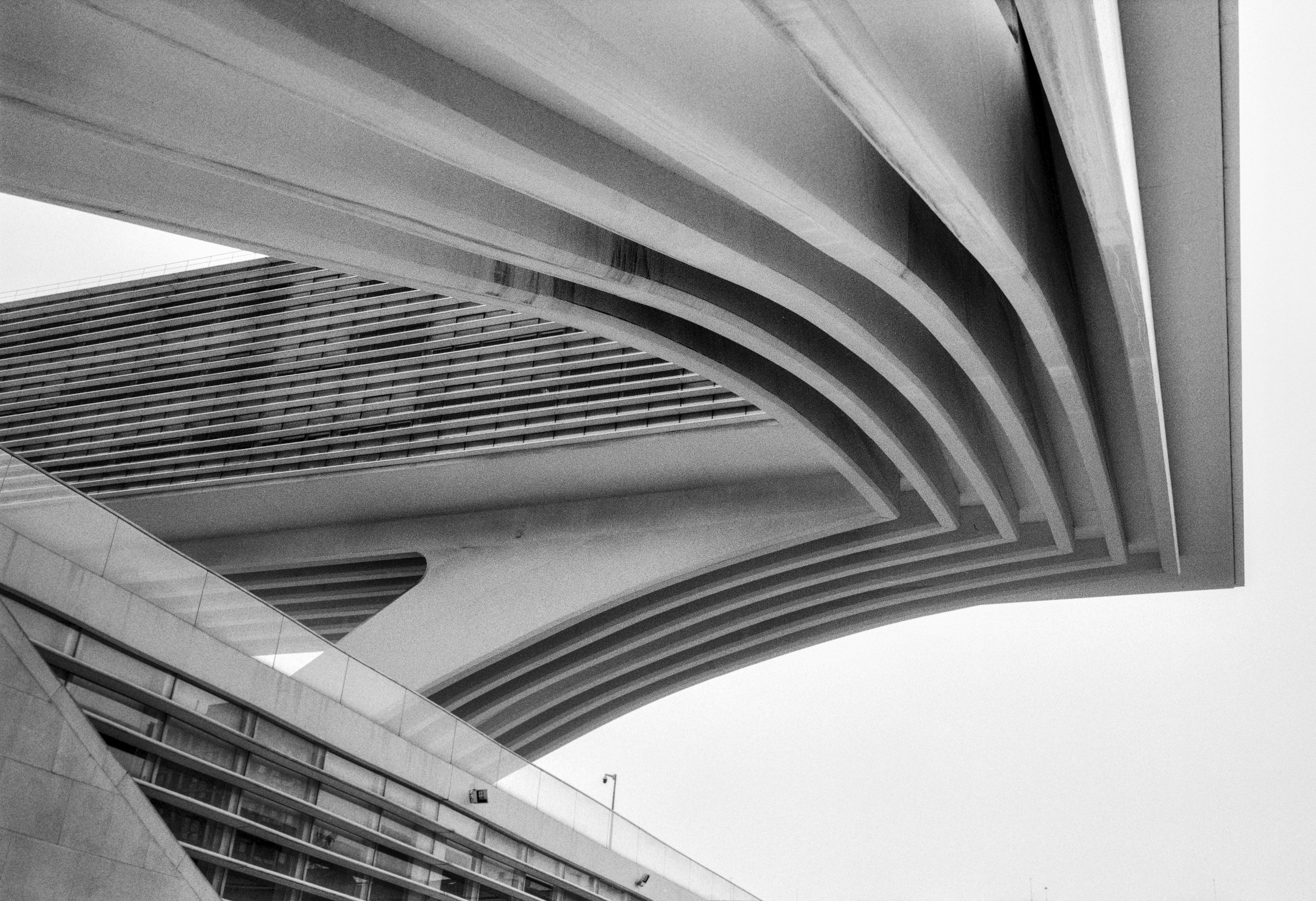 Curved structural elements of the Calatrava Palace of Exhibitions and Congresses in Oviedo.