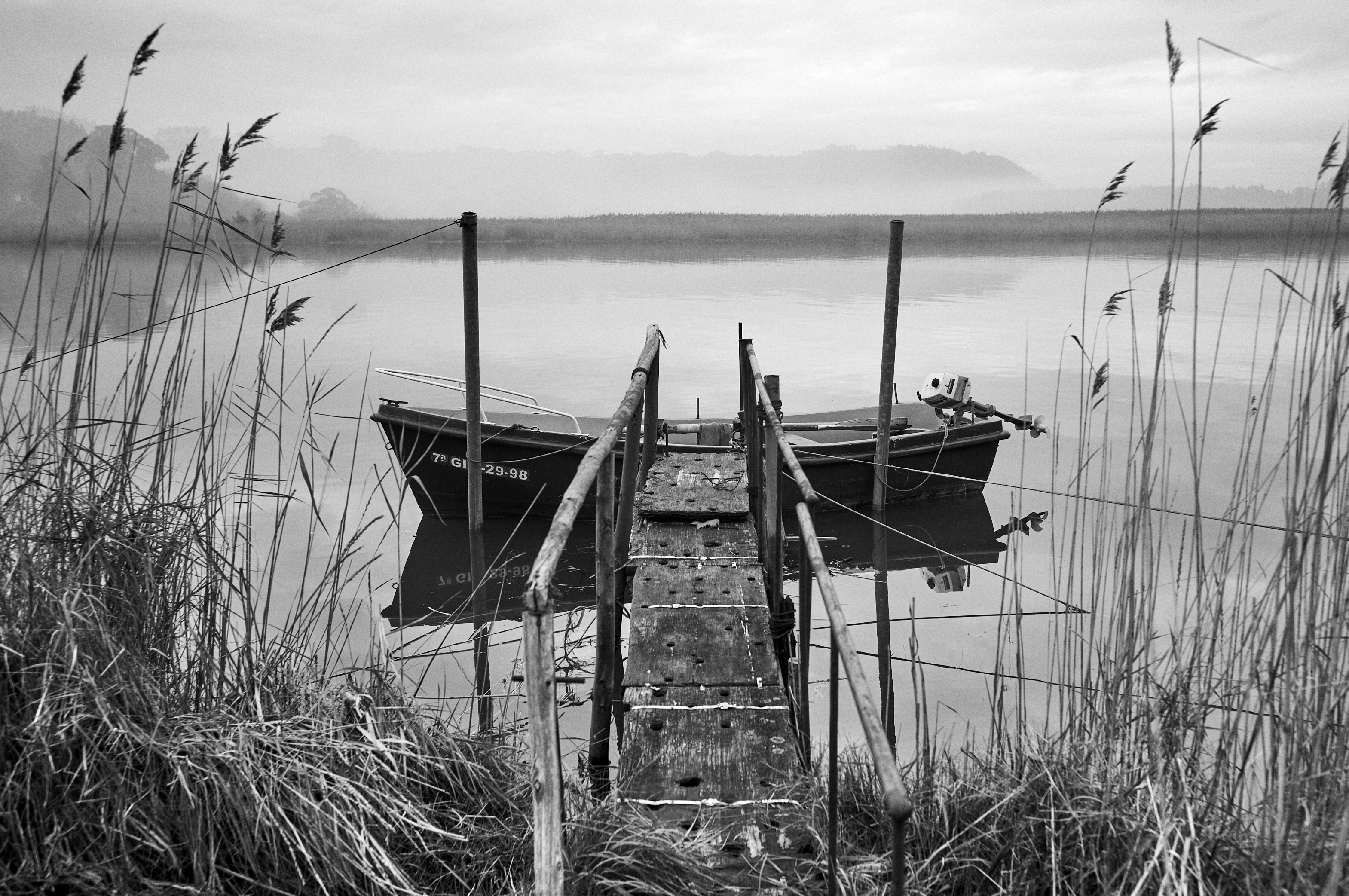 A calm riverside scene with a small wooden pier leading to a moored boat, surrounded by reeds and soft morning fog over the distant hills.